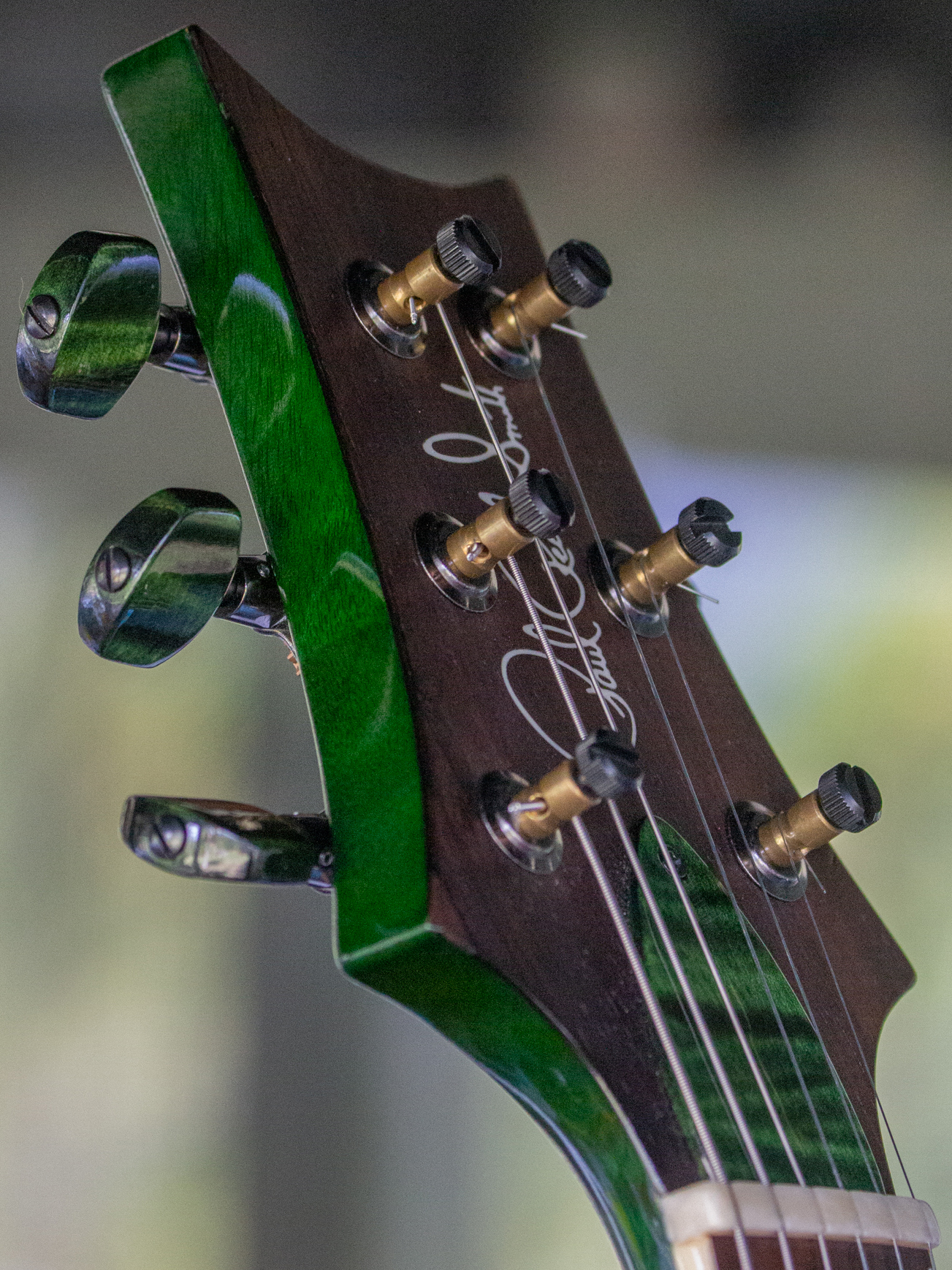HoormanGidfiddle_2023Jan16_7449.jpg