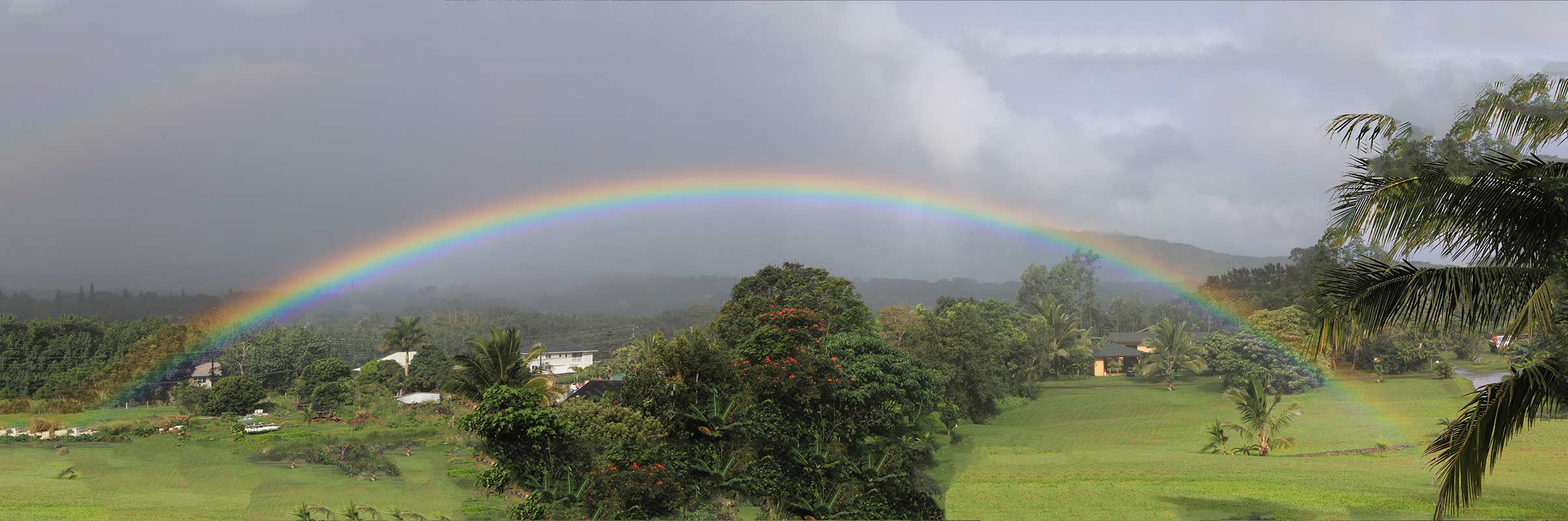 Rainbow_001.jpg