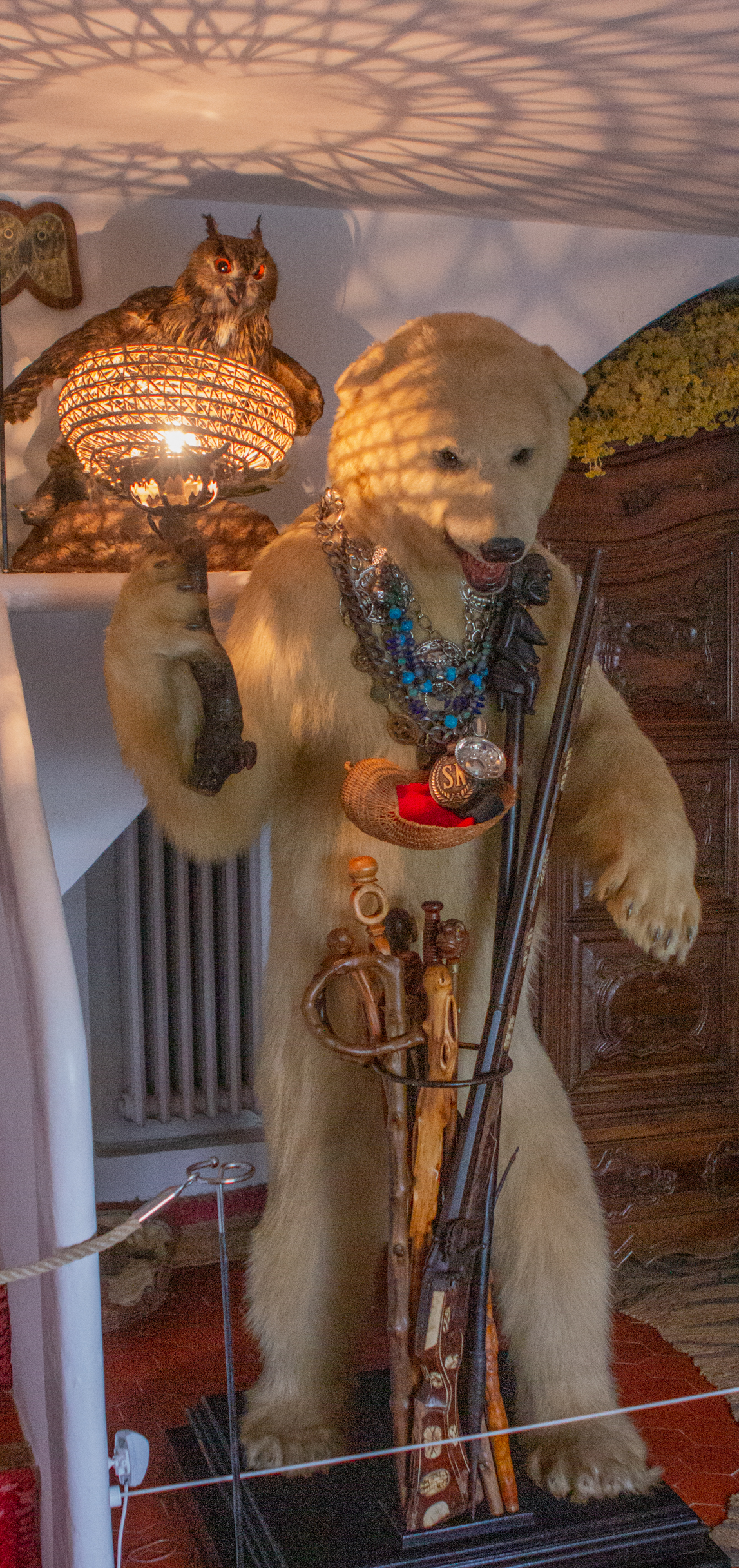 SalvadorDali_PetBear.jpg